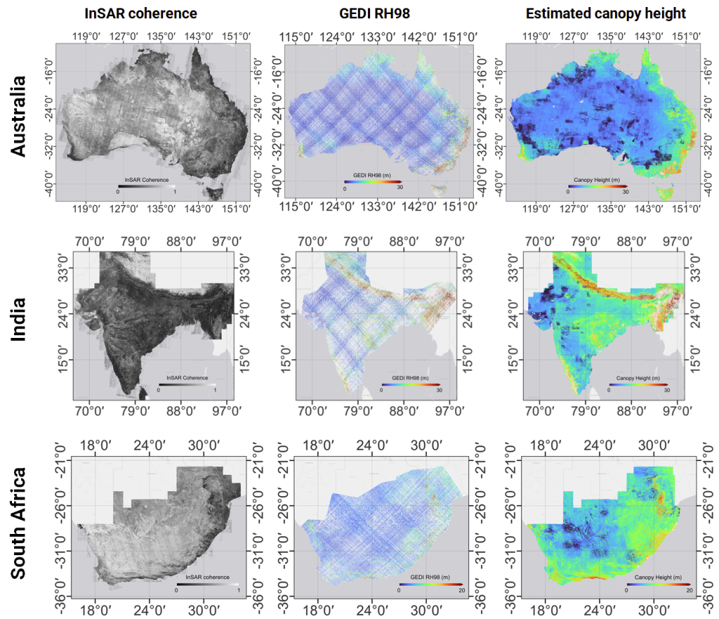 3x3 image comparing InSAR and GEDI and Canopy Height across India, Australia and South Africa