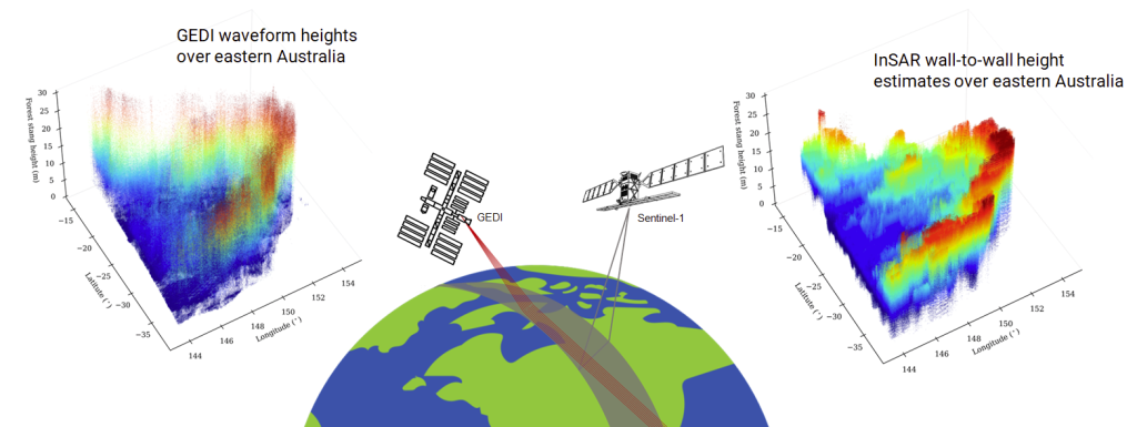 Cartoon indicating the combination of GEDI and InSAR data